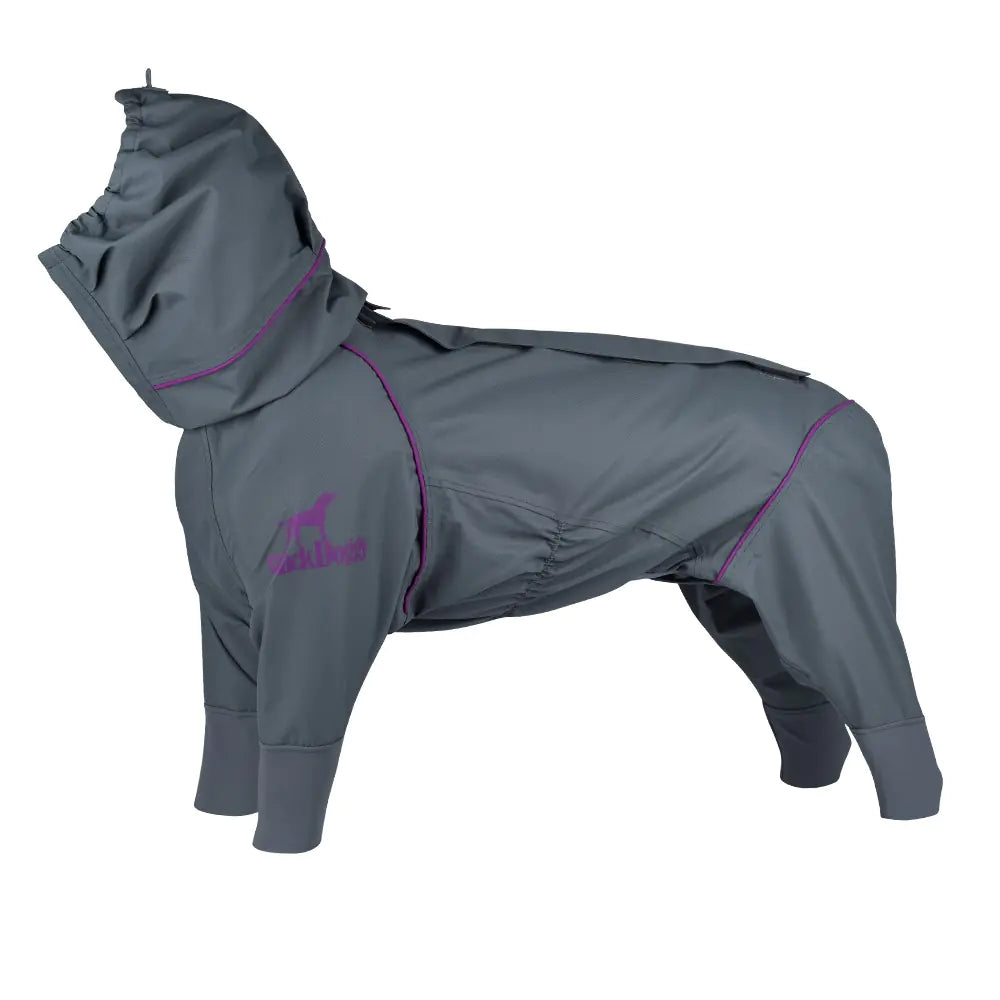 Waterproof Raincoat