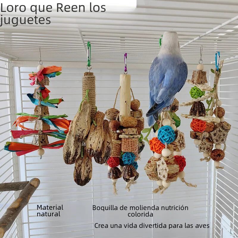 Bird Chew Toys and Decor