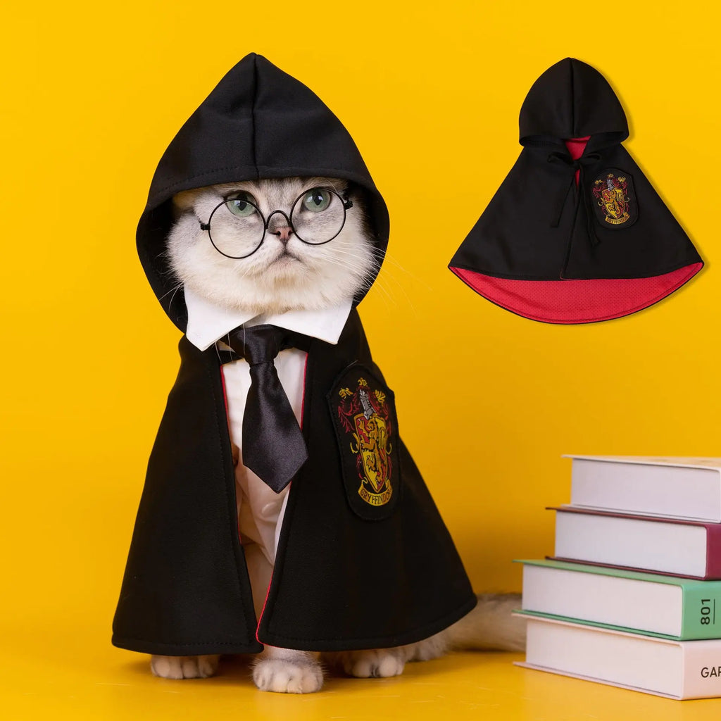 Magic Cape Outfit