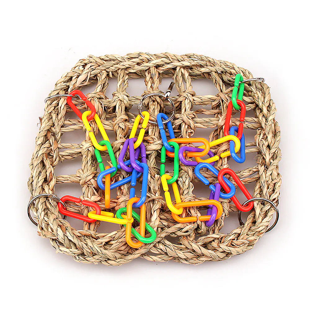 Parrot Climbing Swing