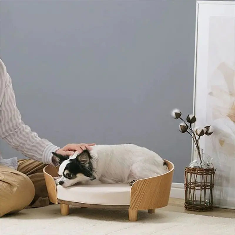 Wooden Cushion Bed