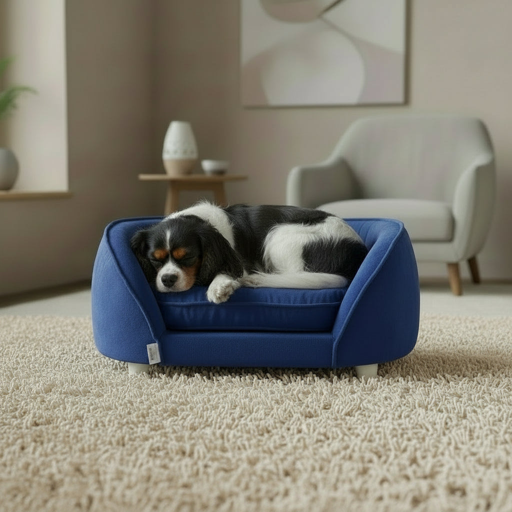 Royal Couch Bed