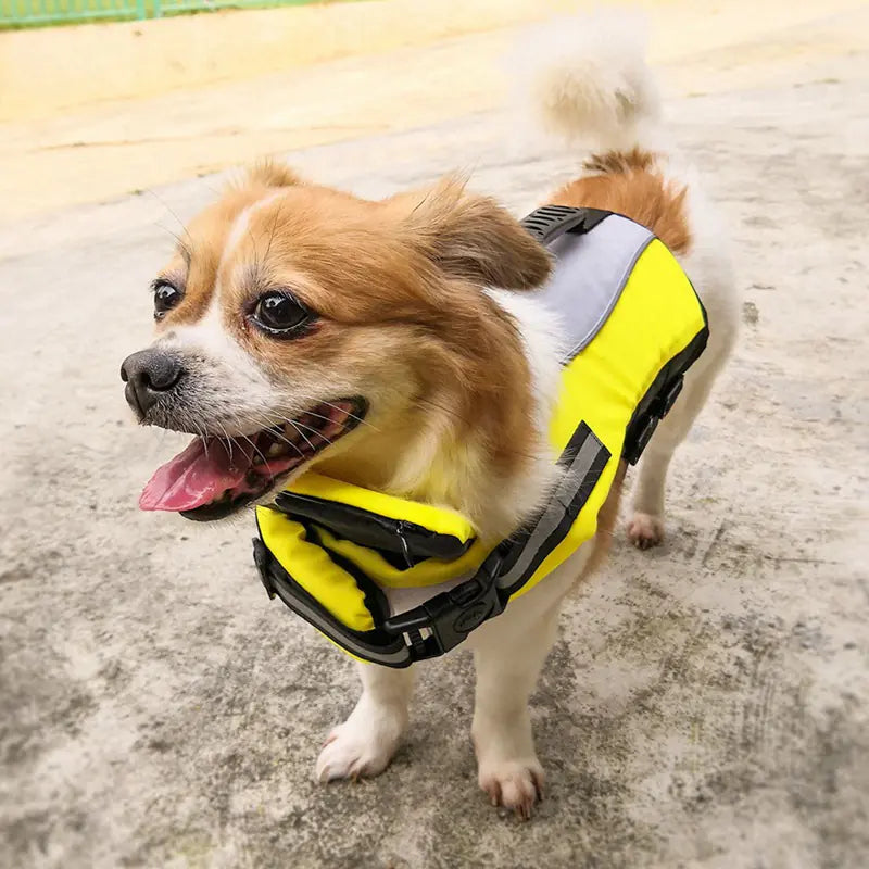 Life Jacket for Small to Medium Dogs